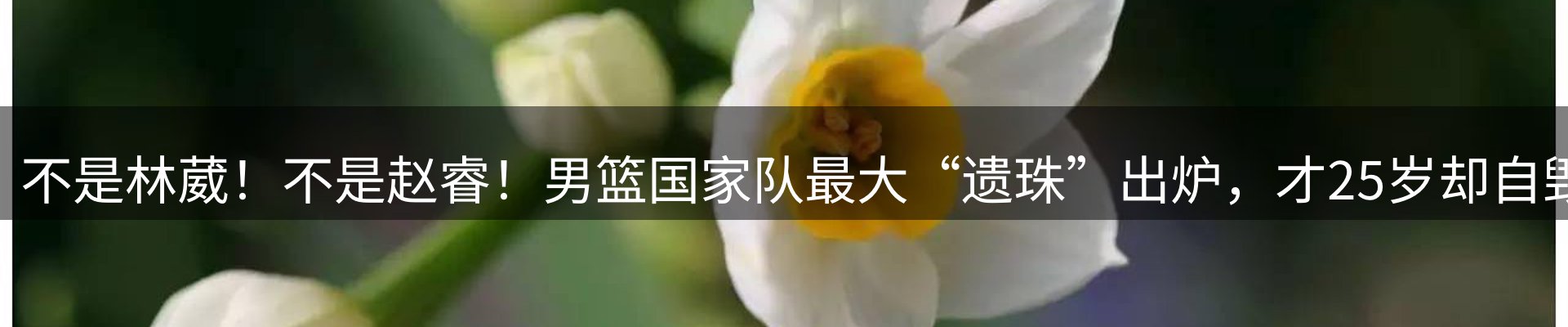 球盟会要闻