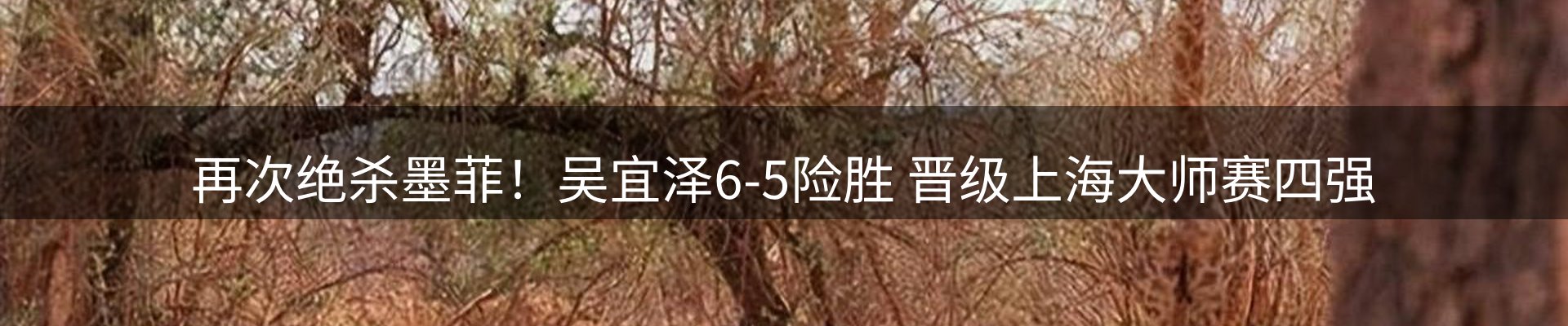 球盟会要闻