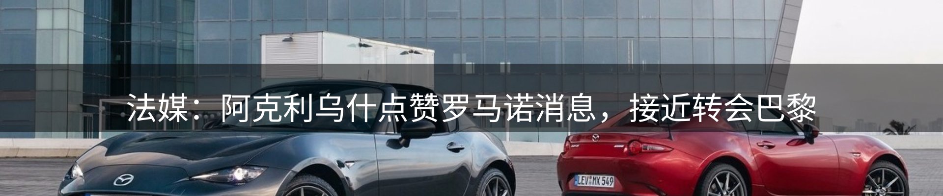 球盟会要闻