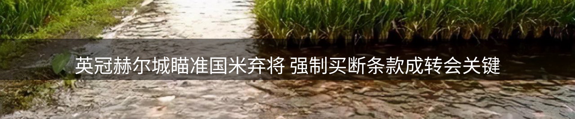 球盟会要闻