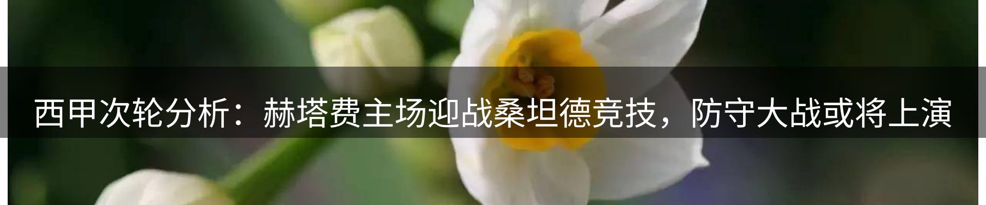 球盟会要闻